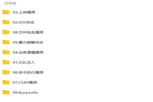 Web网络安全全面系统深度剖析视频教程 Web网络安全全面系统深度剖析视频教程