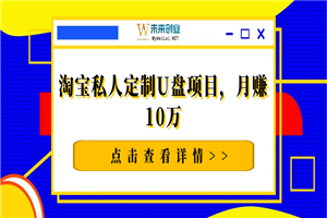 淘宝私人定制U盘项目,月赚10万 淘宝私人定制U盘项目,月赚10万