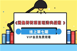 宅男《闲鱼转转项目玩法实战班 》线上第七期 宅男《闲鱼转转项目玩法实战班 》线上第七期