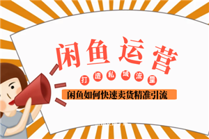 闲鱼运营 闲鱼如何快速卖货精准引流打造私域流量池 闲鱼运营 闲鱼如何快速卖货精准引流打造私域流量池