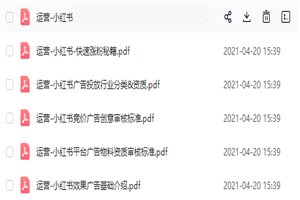 2021年小红书策划运营方案与报告 2021年小红书策划运营方案与报告