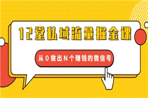 12堂私域流量掘金课:从0做出N个赚钱的微信号【完结】 12堂私域流量掘金课:从0做出N个赚钱的微信号【完结】