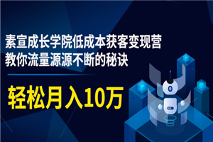 素宣成长学院低成本获客变现营,教你流量源源不断的秘诀,轻松月入10万 素宣成长学院低成本获客变现营,教你流量源源不断的秘诀,轻松月入10万