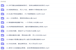 张磊21堂副业培训课:让小白学会副业赚钱,通俗易懂简单易上手 张磊21堂副业培训课:让小白学会副业赚钱,通俗易懂简单易上手
