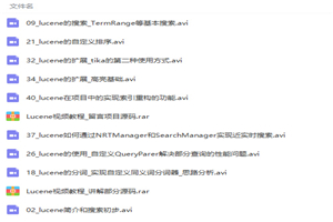 Lucene全文检索引擎架构零基础入门到实战视频教程 Lucene全文检索引擎架构零基础入门到实战视频教程