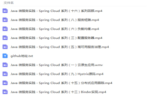 Spring Boot核心技术深度实践视频教程 Spring Boot核心技术深度实践视频教程