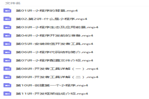 微信小程序开发零基础入门到精通项目实战视频教程 微信小程序开发零基础入门到精通项目实战视频教程