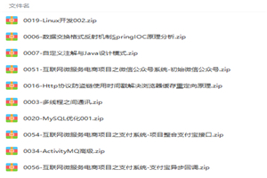 Java高级核心技术全方位深入解析(包含项目实战+就业指导)视频教程 Java高级核心技术全方位深入解析(包含项目实战+就业指导)视频教程