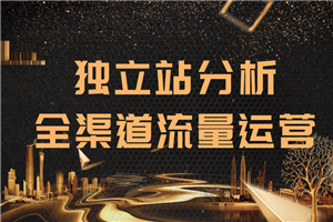 2020跨境电商最新运营教程_手把手教你分析运营独立站精细化流量 2020跨境电商最新运营教程_手把手教你分析运营独立站精细化流量