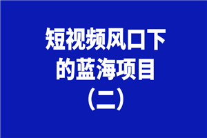 短视频风口下的蓝海项目 短视频风口下的蓝海项目