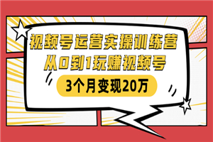 视频号运营实操训练营:从0到1玩赚视频号,3个月变现20万 视频号运营实操训练营:从0到1玩赚视频号,3个月变现20万
