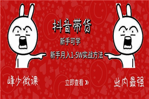 抖音带货:新手月入1-5W实战方法 抖音带货:新手月入1-5W实战方法