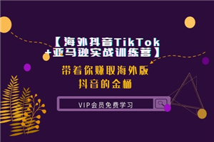 【海外抖音TikTok+亚马逊实战训练营】带着你赚取海外版抖音的金桶 【海外抖音TikTok+亚马逊实战训练营】带着你赚取海外版抖音的金桶