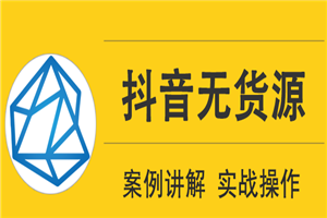 顽石电商低投入高回报抖音无货源实战教程 顽石电商低投入高回报抖音无货源实战教程