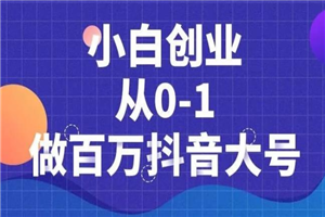 小白创业从0-1做百万抖音大号,短视频带货引流必备课程 小白创业从0-1做百万抖音大号,短视频带货引流必备课程