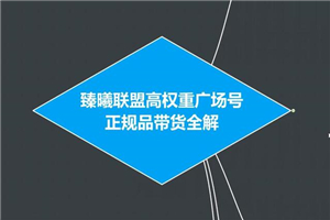 臻曦联盟抖音高权重广场号无人直播正规品带货全解【视频教程】 臻曦联盟抖音高权重广场号无人直播正规品带货全解【视频教程】