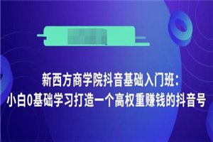 抖音基础入门班:小白0基础学习打造一个高权重赚钱的抖音号 抖音基础入门班:小白0基础学习打造一个高权重赚钱的抖音号