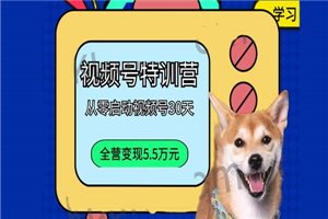 一行视频号特训营 从零启动视频号30天 一行视频号特训营 从零启动视频号30天
