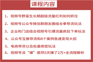 视频号训练营第2期：引爆流量疯狂下单，5天赚2万+全流程解析！
